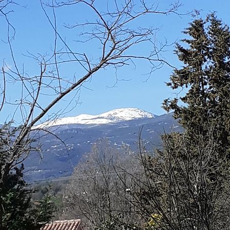 Laserregnol Saint-Cézaire-sur-Siagne Exteriör bild